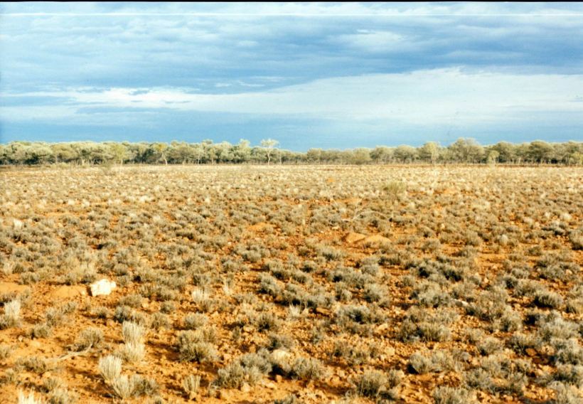 Resize of 05-18-2002 duck ck pic