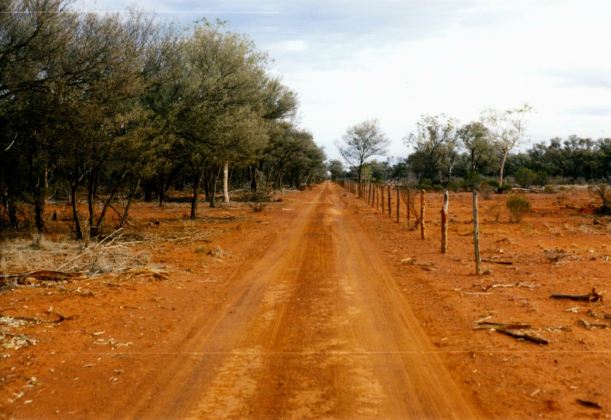 Resize of 05-18-2002 tk by fence