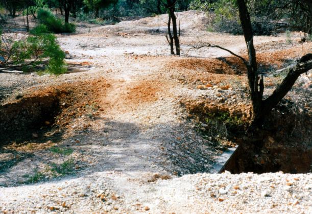 Resize of 05-18-2002 track between old holes Duck Creek.jpg