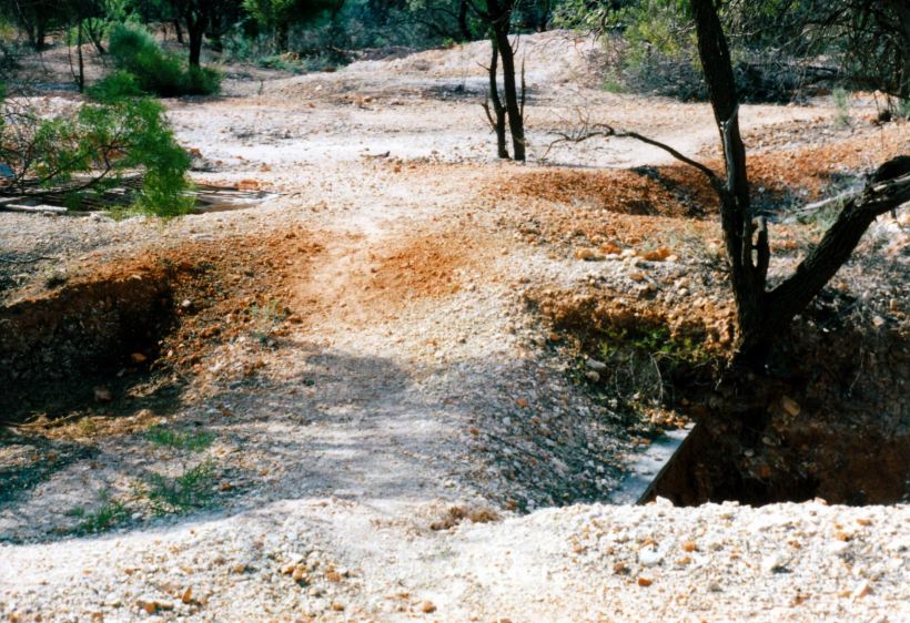 Resize of 05-18-2002 track between old holes Duck Creek.jpg