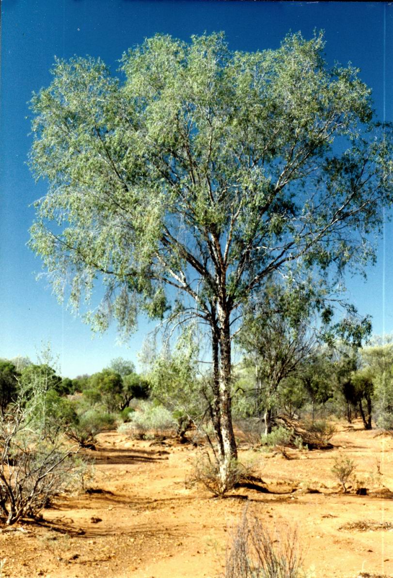 Resize of 05-19-2002 around Duck Ck.jpg