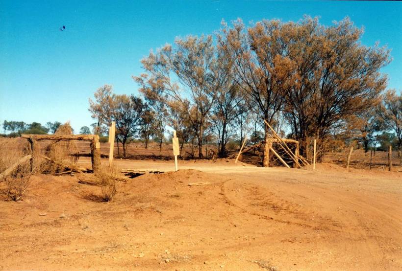 Resize of 05-22-2002 dusty trees nr toompine