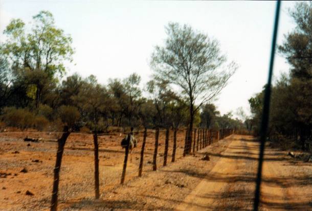 Resize of 05-22-2002 emu running.jpg