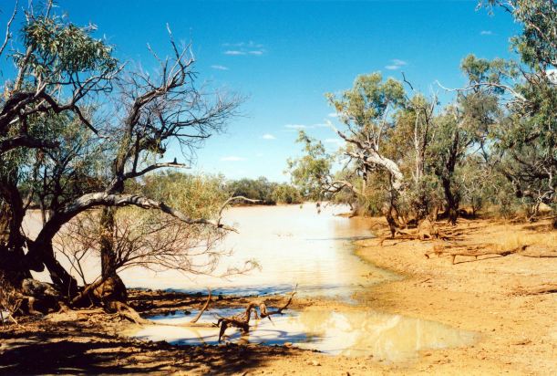 Resize of 05-27-2002 kyabra ck