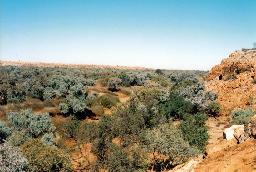 Resize of 06-01-2002 01 top of the waterhole area from scarp walk