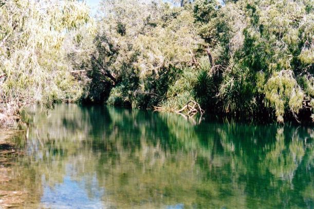 Resize of 06-11-2002 06 Gregory River upstream reflections