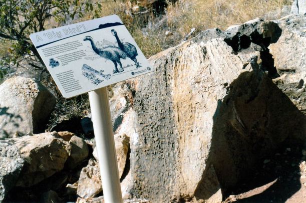 Resize of 06-16-2002 08 big bird site Riversleigh.jpg