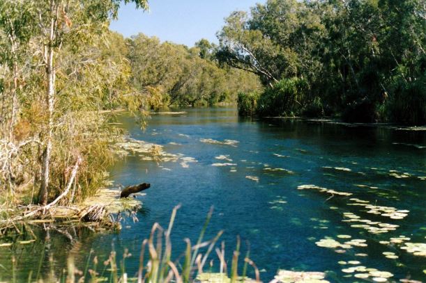 Resize of 06-16-2002 11 Gregory River Riversleigh.jpg