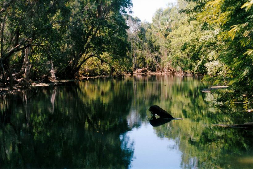 Resize of 06-30-2002 01 Adels grove waterhole on Lawn Hill Creek.jpg