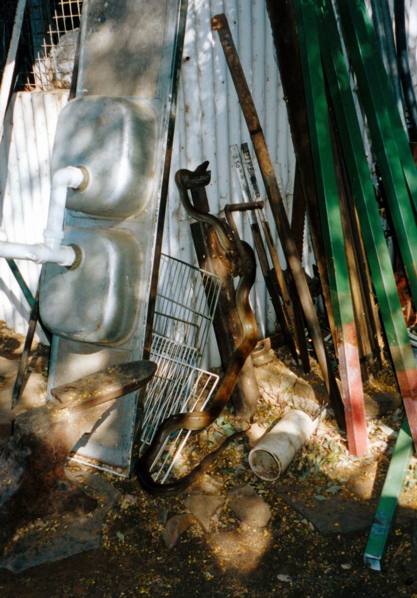 Resize of 07-15-2002 05 pyhton going back to home in shed