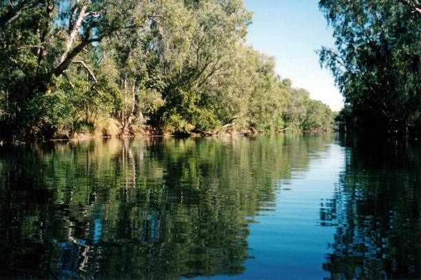 Resize of 07-20-2002 02 from canoe, Lawn Hill Creek at Adels Grove.jpg