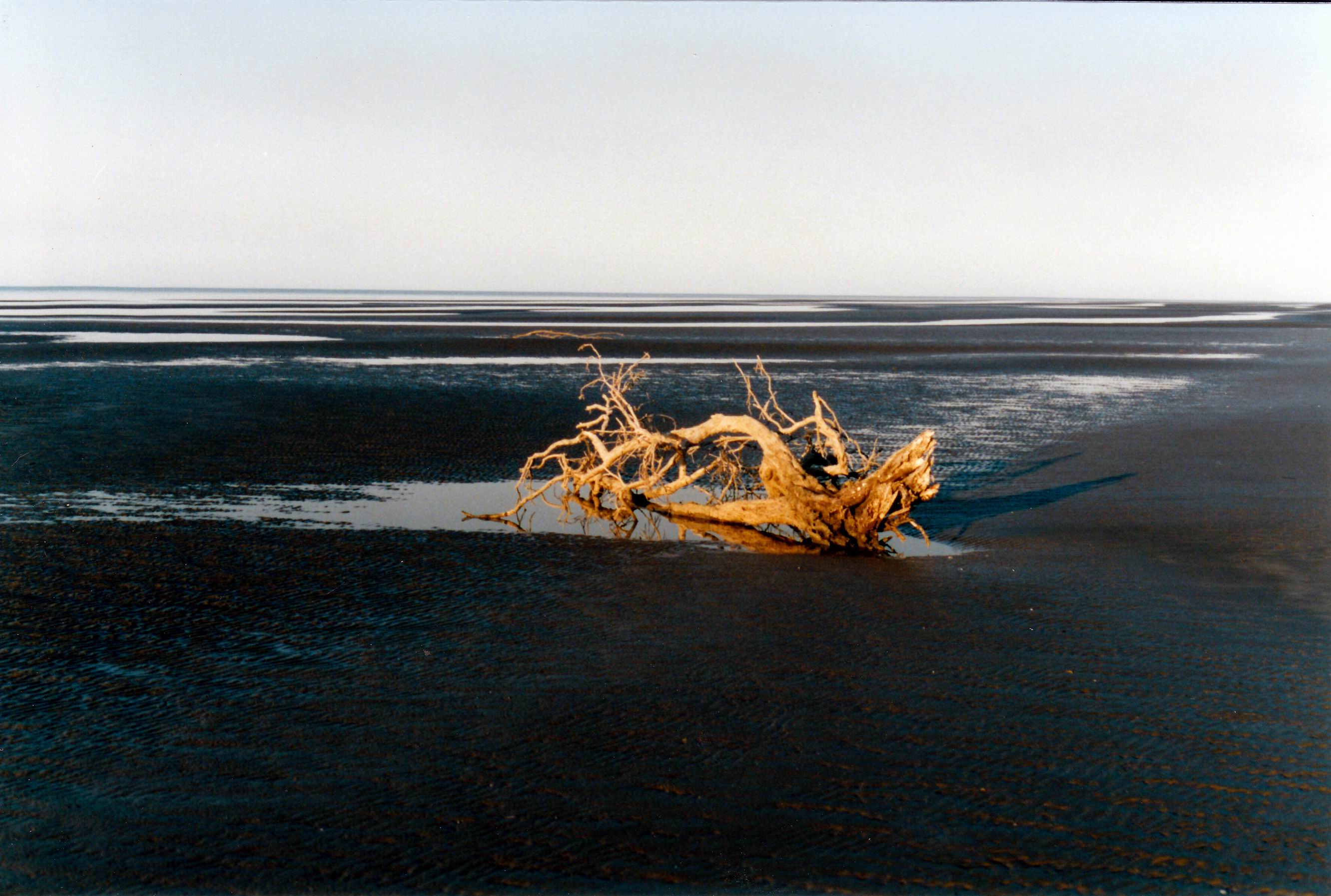 Resize of 08-24-2002 14 Wollogorang beach scene
