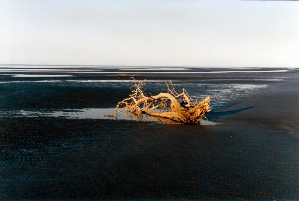 Resize of 08-24-2002 14 Wollogorang beach scene