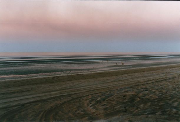 Resize of 08-24-2002 19 Wollogorang dusk and roos.jpg