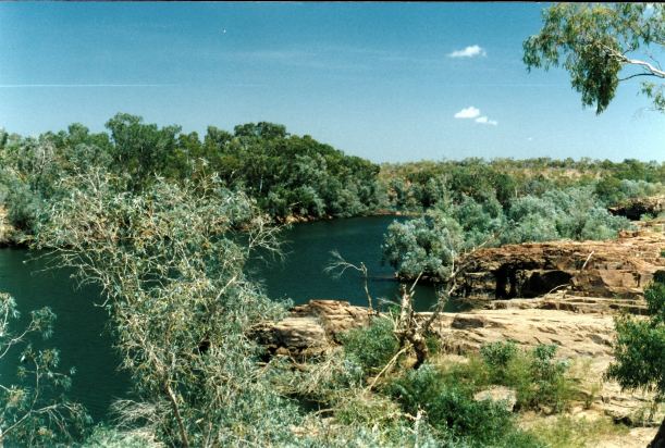 Resize of 09-15-2002 02 Nicholson Gorge, Kingfisher.jpg