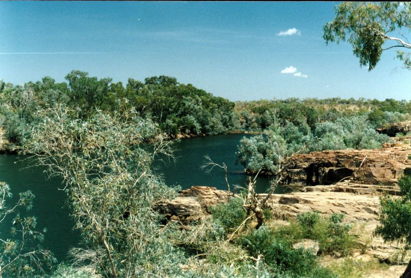 Resize of 09-15-2002 02 Nicholson Gorge, Kingfisher.jpg