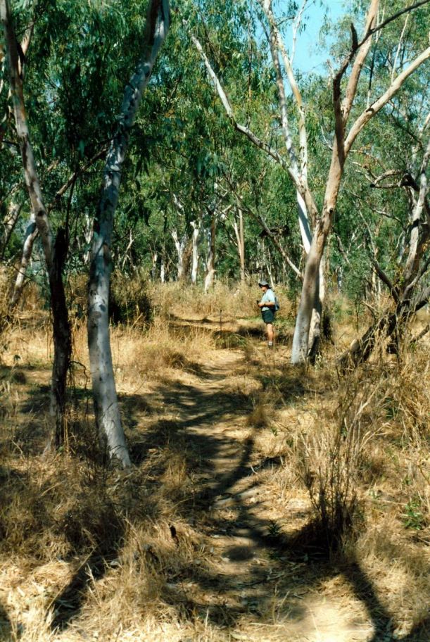 Resize of 09-16-2002 walk track to river kfc.jpg