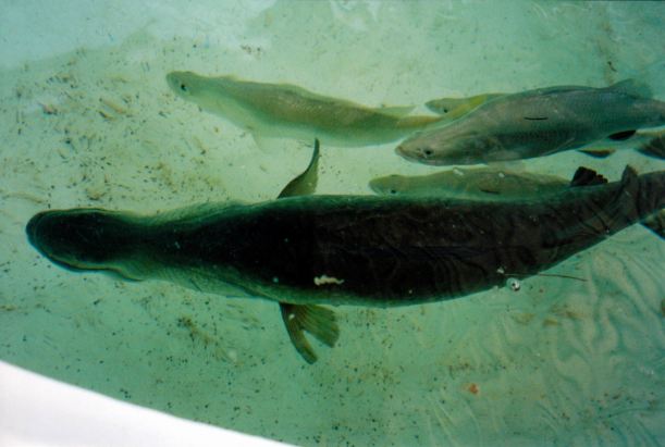 Resize of 09-29-2002 02 Emily blind barra and boyfriends.jpg