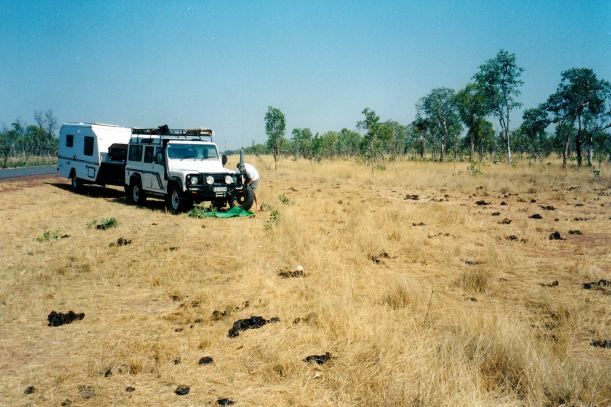 Resize of 10-03-2002 01 flat out of Normanton cow patch.jpg