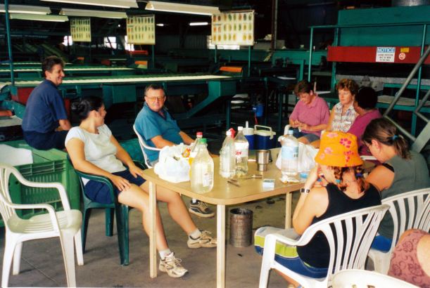 Resize of 11-24-2002 01 NAP packing shed Giru before work