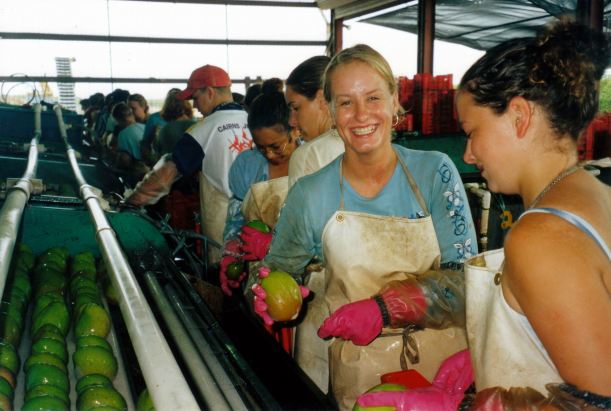 Resize of 11-24-2002 05 desappers.jpg