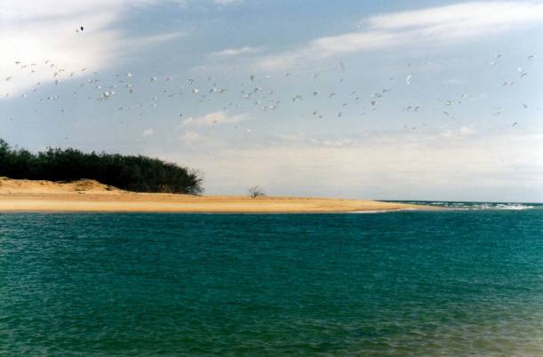 Resize of 12-11-2002 part way over.jpg