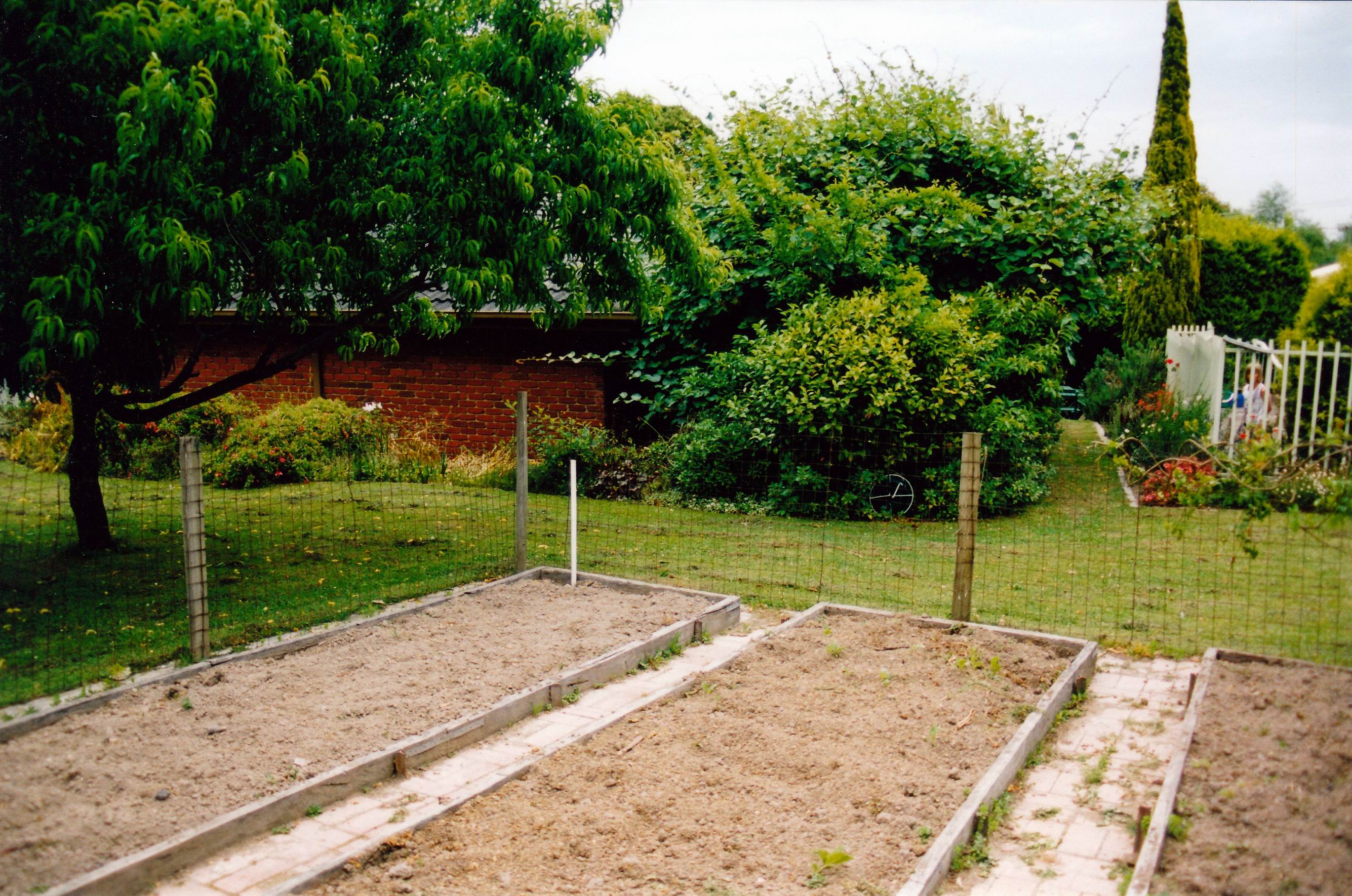 Resize of 12-21-2002 veg garden at home.jpg