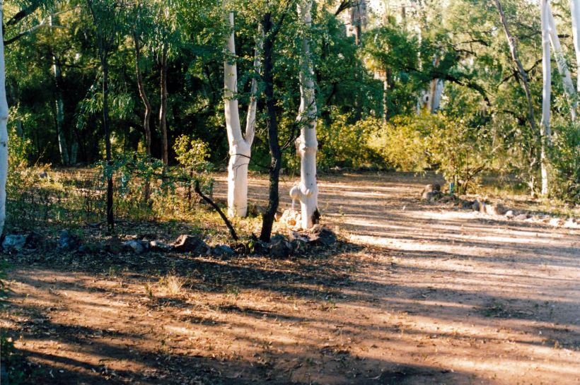 Resize of 04-27-2003 01 campsite adels grove.jpg