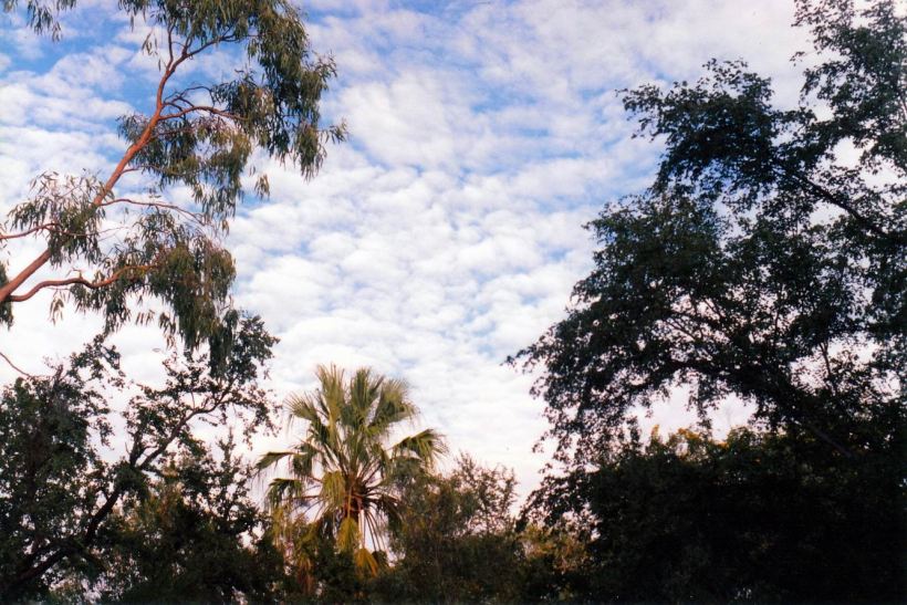 Resize of 04-27-2003 04  late April sky in Grove.jpg