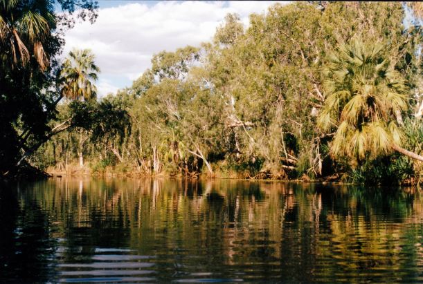 Resize of 04-27-2003 06 lawn hill creek waterhole adels.jpg