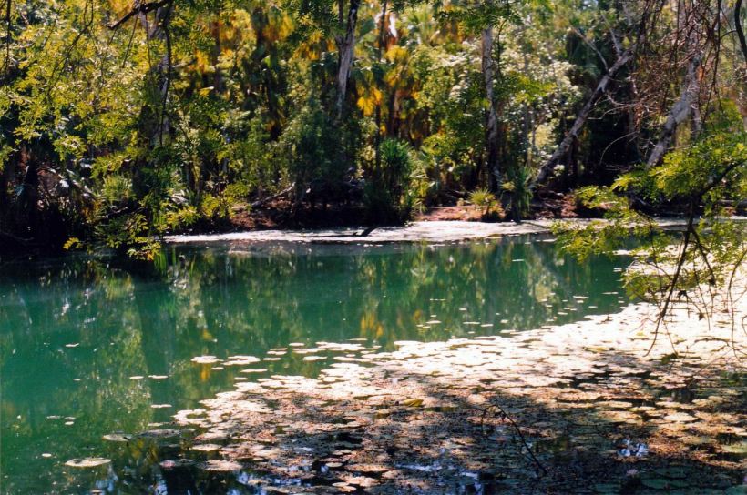 Resize of 06-01-2003 03 lawn hill ck adels grove.jpg