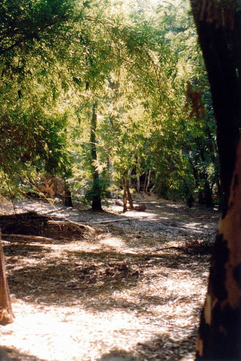 Resize of 06-01-2003 04 Grove still fairly unspoiled.jpg