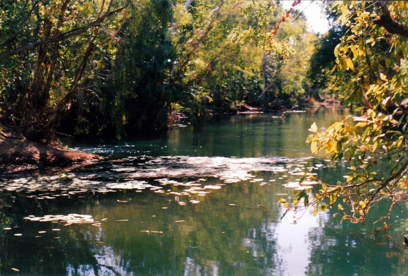 Resize of 06-01-2003 06 Waterhole by Grove.jpg