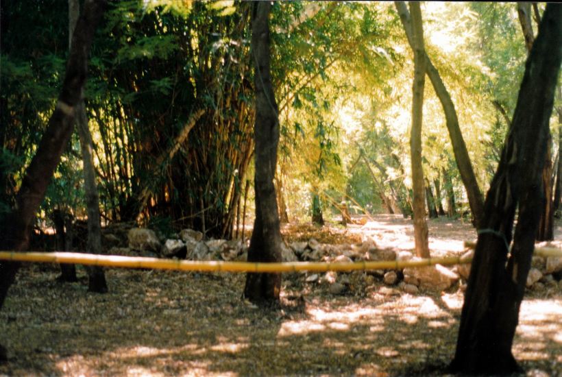 Resize of 06-01-2003 07 view from staff compound in Grove