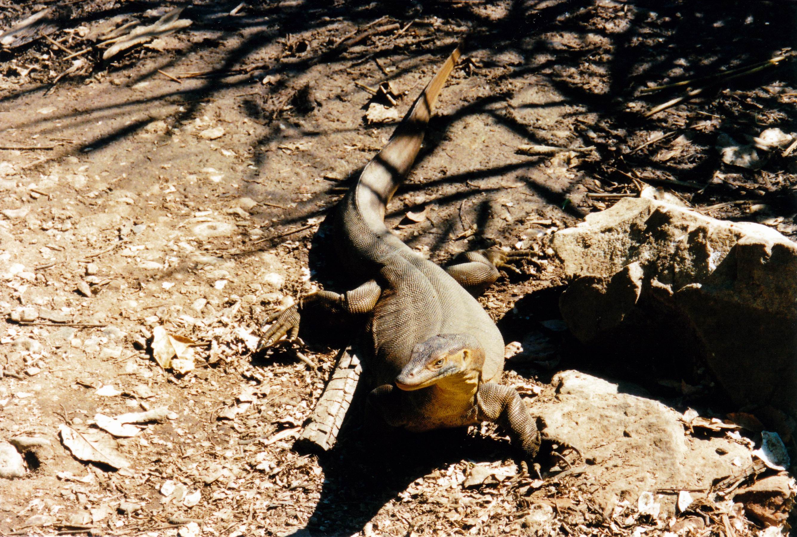 Resize of 06-06-2003 05 canoe hire visitor.jpg