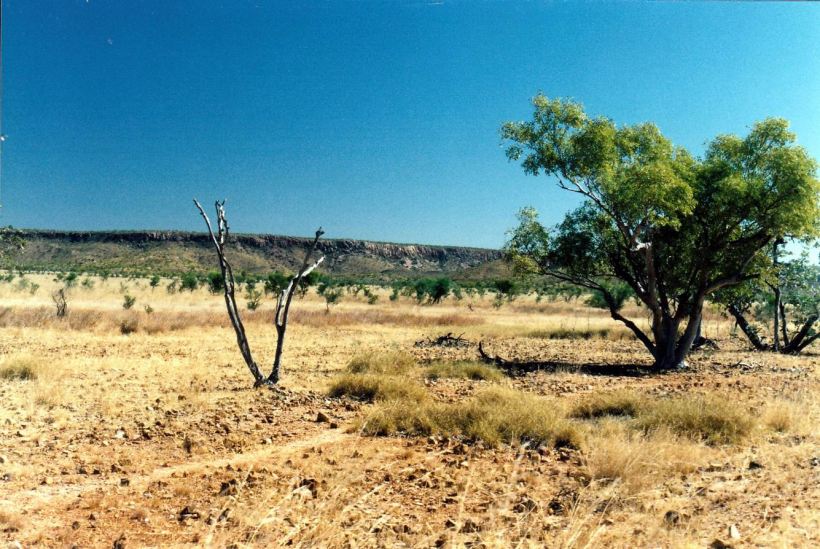 Resize of 06-20-2003 01 Constance Range from Lawn Hill Station track