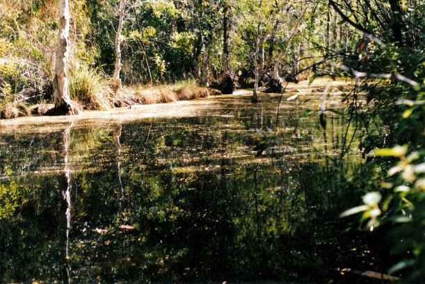 Resize of 06-20-2003 04 Edith Creek in gorge section