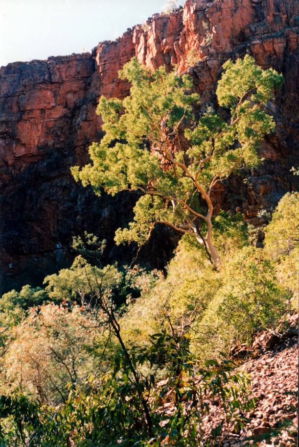 Resize of 06-20-2003 07 on Edith Springs track.jpg