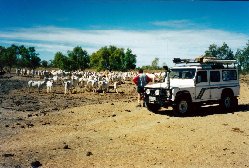 Resize of 06-20-2003 14 who is bluffing whom lawn hill station.jpg