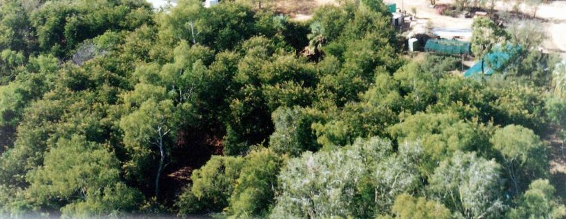 Resize of 06-29-2003 19 veg garden & Grove.jpg