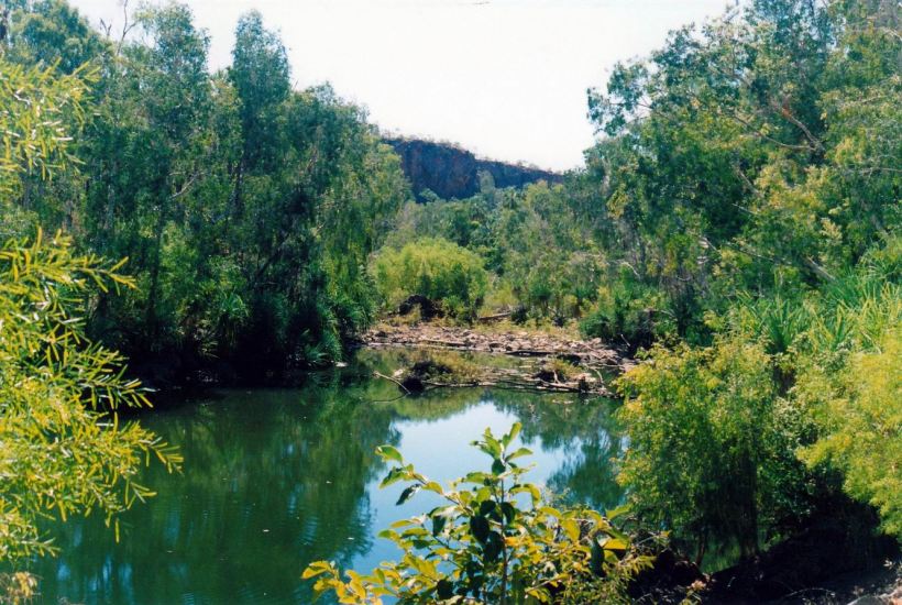 Resize of 06-29-2003 26 effect of old weir on creek