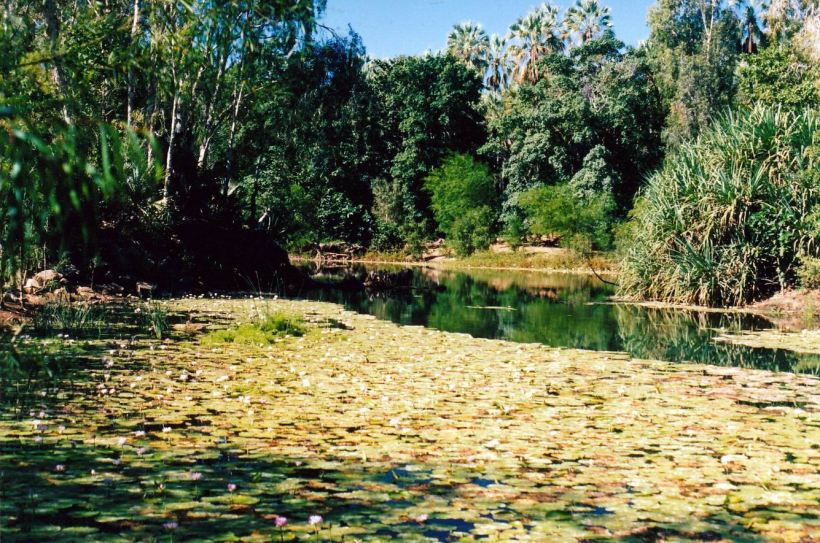 Resize of 06-29-2003 27 Lawn Hill Ck at old weir.jpg