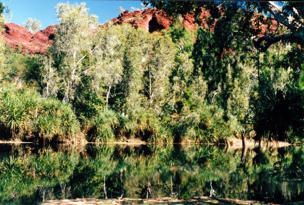 Resize of 06-29-2003 28 lower gorge and island stack from old weir.jpg