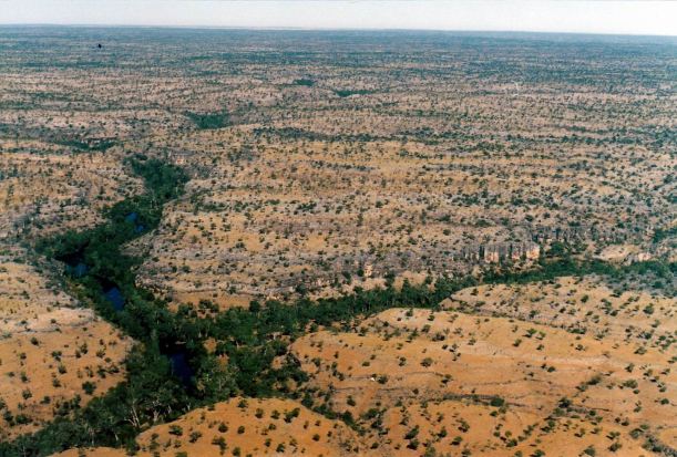 Resize of 06-29-2003 beyond the upper gorge - musselbrook country.jpg