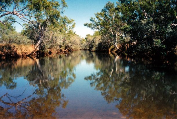 Resize of 07-08-2003 09 nicholson river view at kingfisher camp.jpg