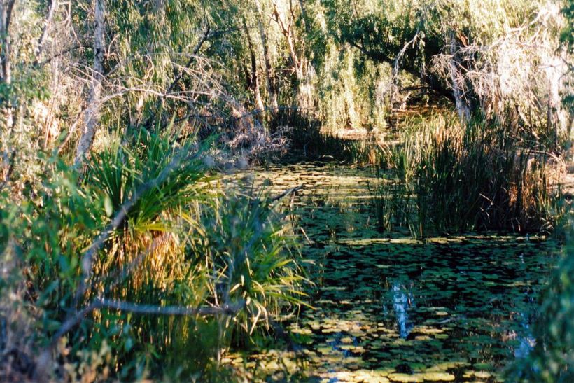 Resize of 07-24-2003 04 Louie Creek.jpg