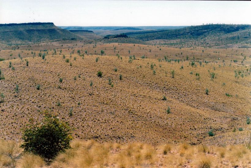 Resize of 08-04-2003 09 mussellbrook country.jpg