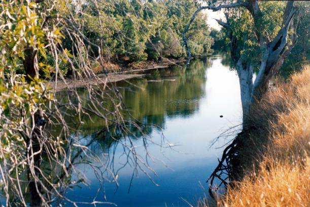 Resize of 08-04-2003 23 Black Cockatoo  waterhole.jpg