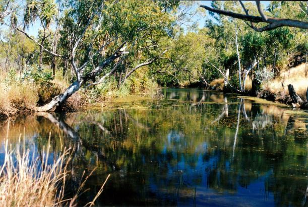 Resize of 08-05-2003 06 Murry springs mussellbrook.jpg