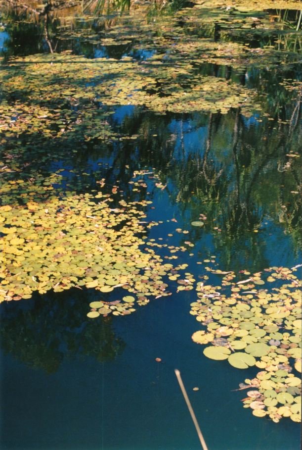 Resize of 08-15-2003 01 canoeing on lawn hill gorge.jpg